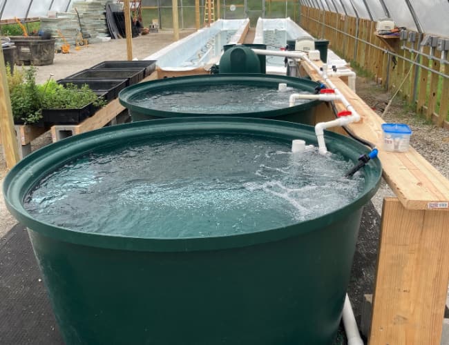 Rearing Tanks gallery photo 04
