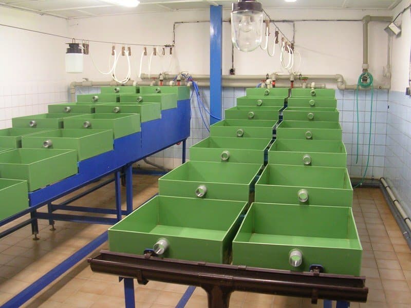 Hatching Systems gallery photo 03